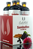 SambuRex Pack  - czarny bez, witamina C, cynk, echinacea - 